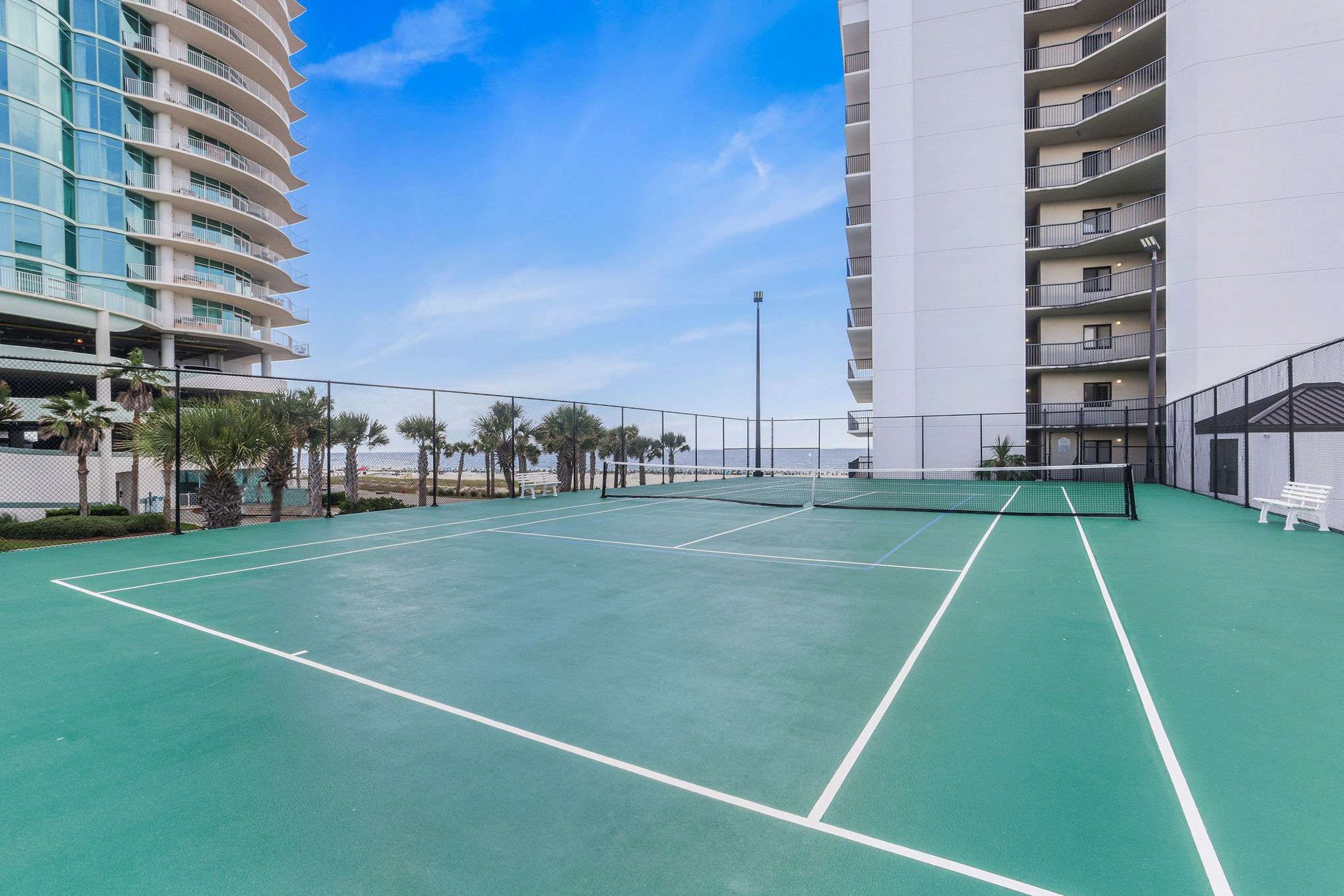 A tennis court with a net, surrounded by a fence and palm trees, with high-rise buildings in the background.