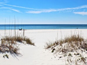 Ein Strand mit Dünen und blauem Himmel.