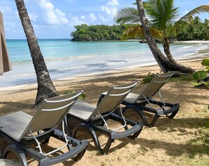 A beach with three sun loungers, a palm tree, and a view of the ocean. - The Beach View Playabonita Beachfront Pool (Las Terrenas)