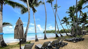 A beach with rows of sun loungers and umbrellas, palm trees, and a clear view of the ocean. - The Beach View Playabonita Beachfront Pool (Las Terrenas)
