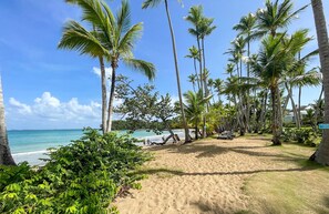 A beach with palm trees, a sandy path, and a view of the ocean. - The Beach View Playabonita Beachfront Pool (Las Terrenas)