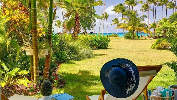 A tropical garden with palm trees, a beach view, and a lounge area with a chair and a hat. - The Beach View Playabonita Beachfront Pool (Las Terrenas)