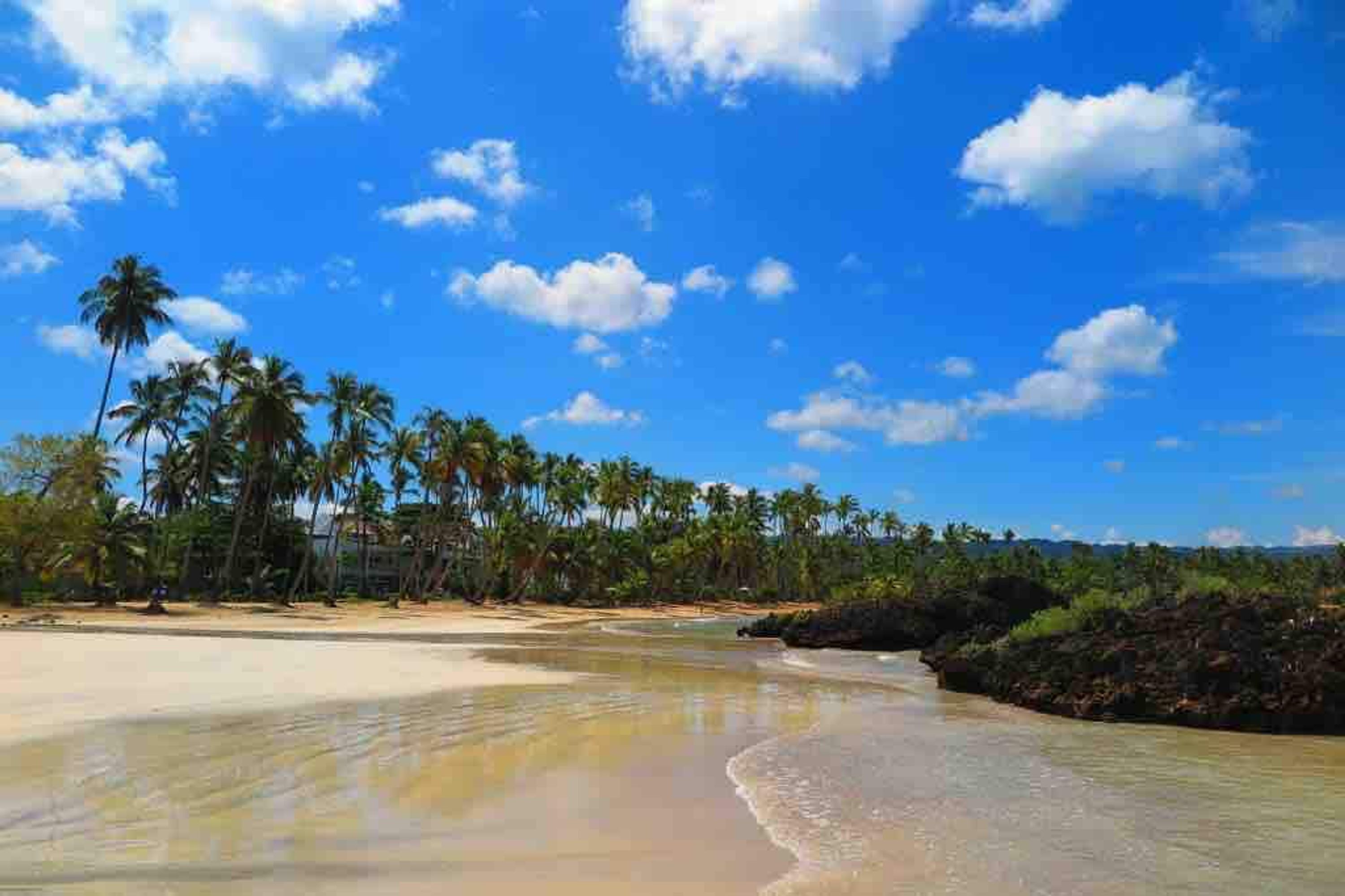 Ein Strand mit blauem Himmel, Palmen und ruhigem Wasser.
