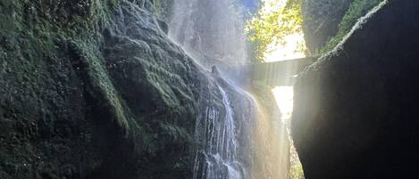 Una cascada en un área boscosa con luz solar filtrándose entre los árboles.