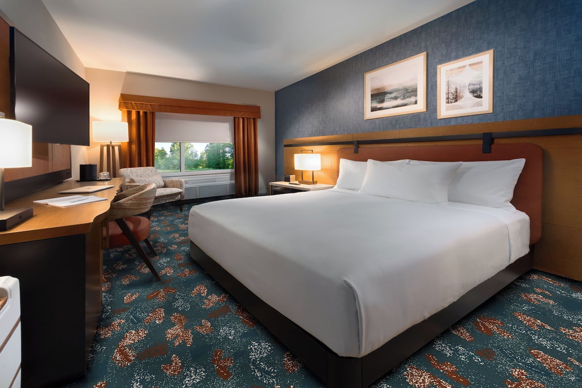Single Room, 1 King Bed, Non Smoking