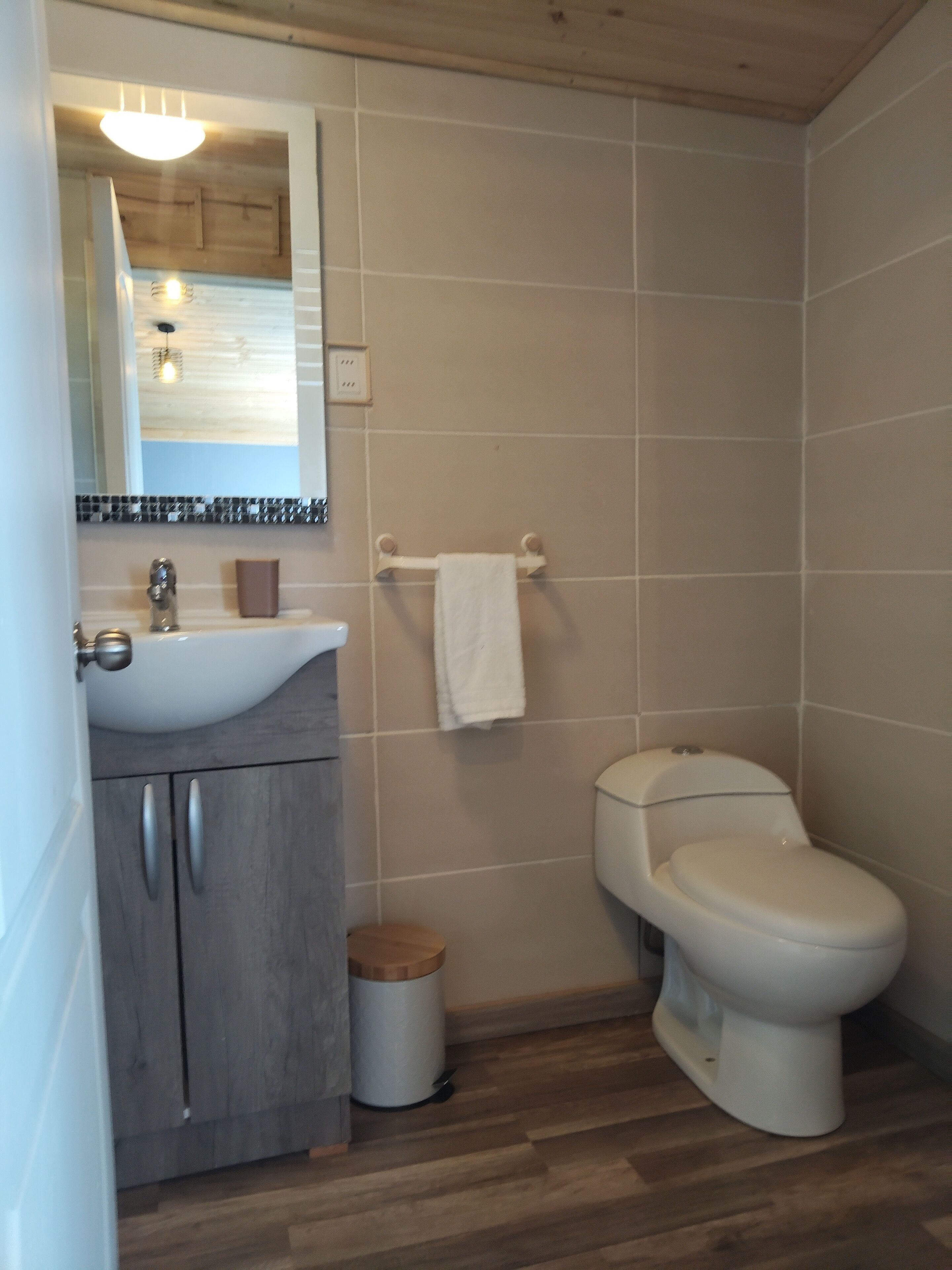 A bathroom with a sink, mirror, toilet, and a trash bin.