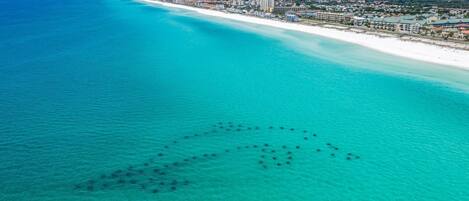 Condo, Multiple Beds (Sandprints A8) | Beach