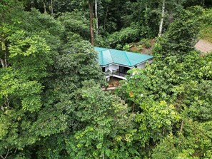 Exterior - Beautiful Jungle Villa with River Access | Close to the Beach (Savegre)