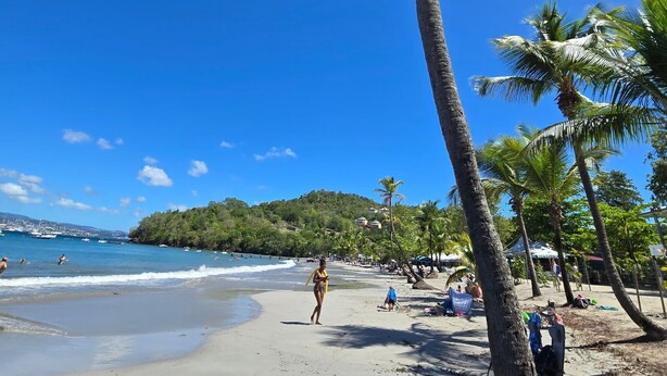 Una playa con palmeras, arena dorada y vistas al océano.