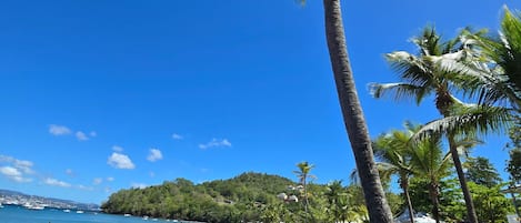 Playa