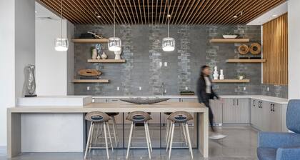 Elysian Residences Boston