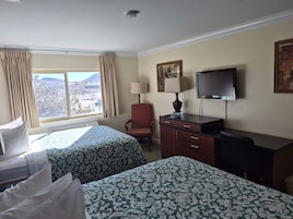 Standard Double Room, Mountain View | Laptop workspace, blackout drapes, iron/ironing board, free WiFi