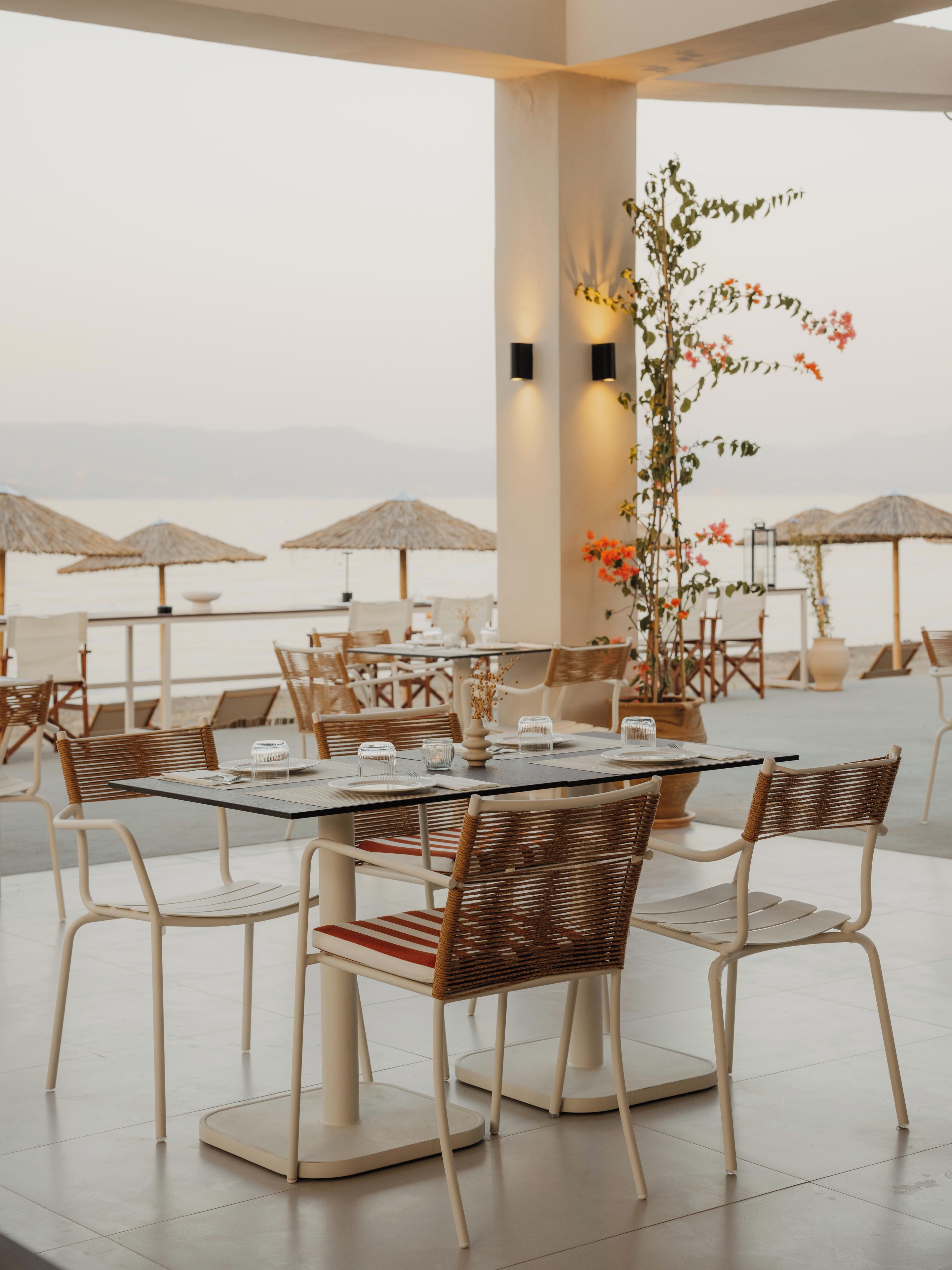 An outdoor dining area with tables and chairs, a potted plant, and umbrellas.