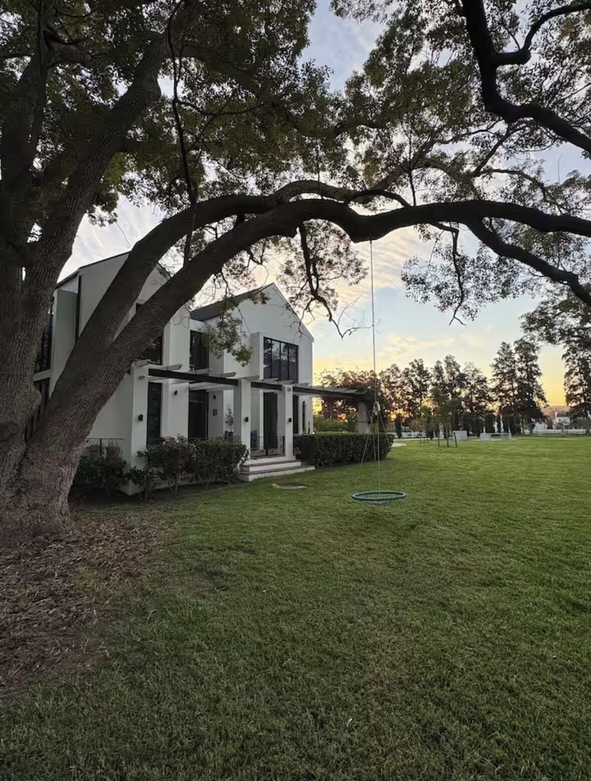 A modern house with a large lawn and a tree in the foreground.