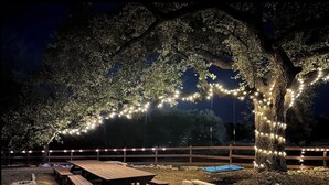 Ein Außenbereich mit Picknicktischen und Bänken unter einer großen Baum, geschmückt mit Lichterketten.