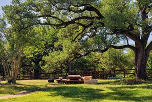 Property grounds - Creekside Home & Event Gathering Destination (Leander)