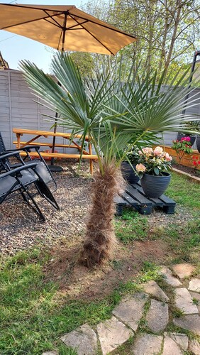 Mini Hotel rooms with home facilities Great location 30mins from Glasgow