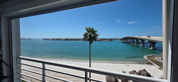 Blick auf einen Strand mit einer Palme, einer Brücke und einem Gewässer.
