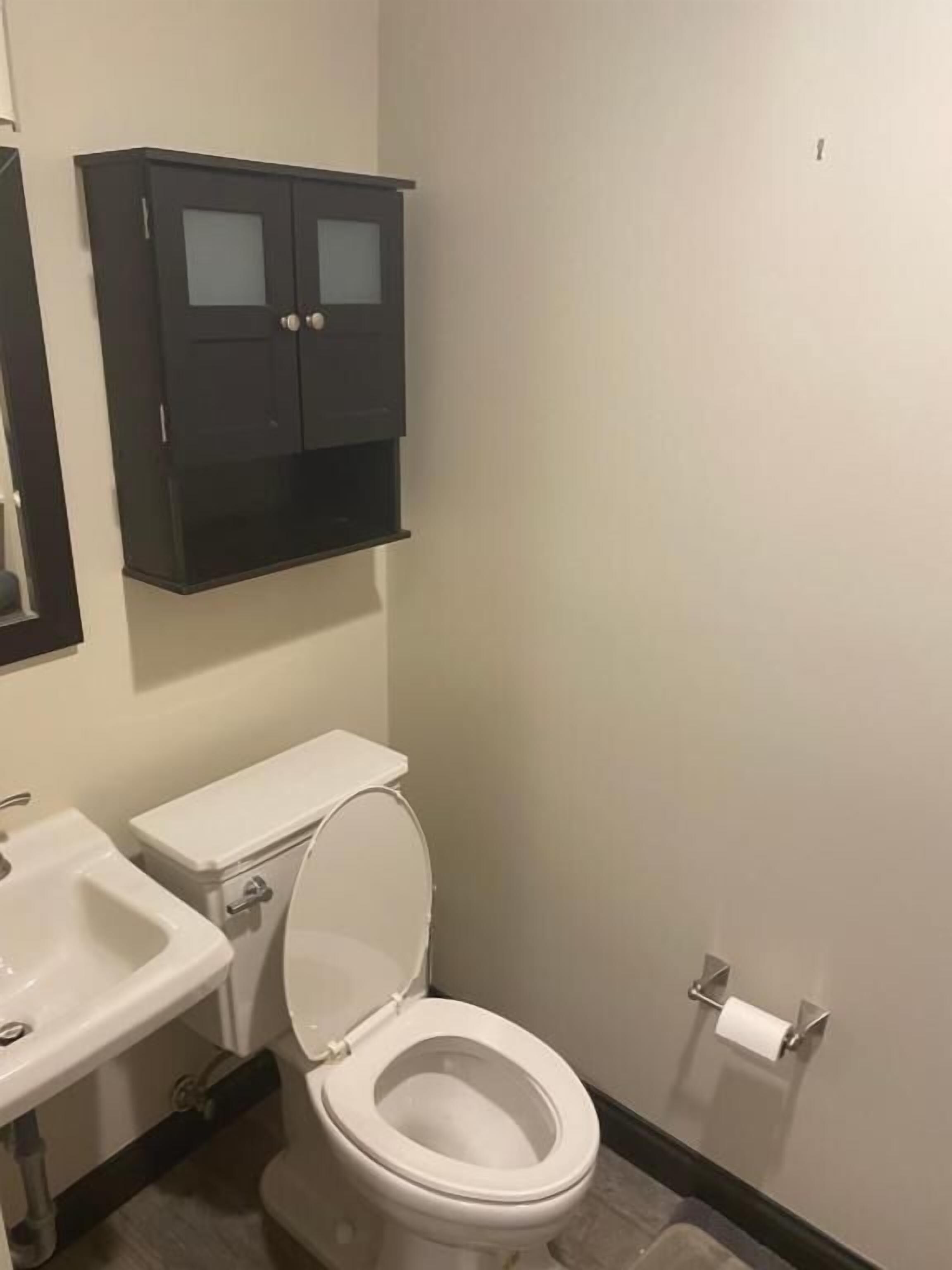 A bathroom with a toilet, sink, and dark-colored cabinet.