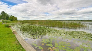Ein friedlicher Teich mit Seerosen und einer Wiese mit einer Bank.