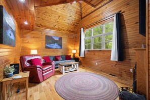 Smart-TV, Kamin