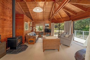TV, fireplace
