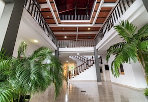 Un vestíbulo amplio con techo alto, una escalera de madera y grandes plantas en macetas.