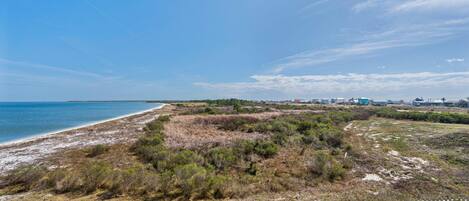 A coastal landscape with a sandy beach, grassy dunes, and a wooden fence.