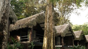 A thatched-roof building with a balcony, surrounded by lush greenery. - Isla Clara Hotel (San Francisco)