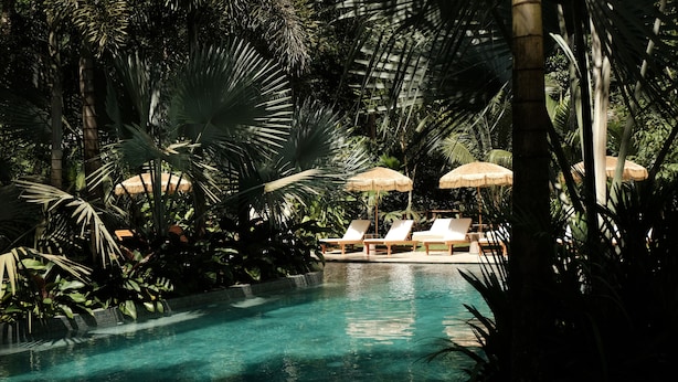 Ett poolområde med solstolar och parasoller, omgivet av tropiska växter.