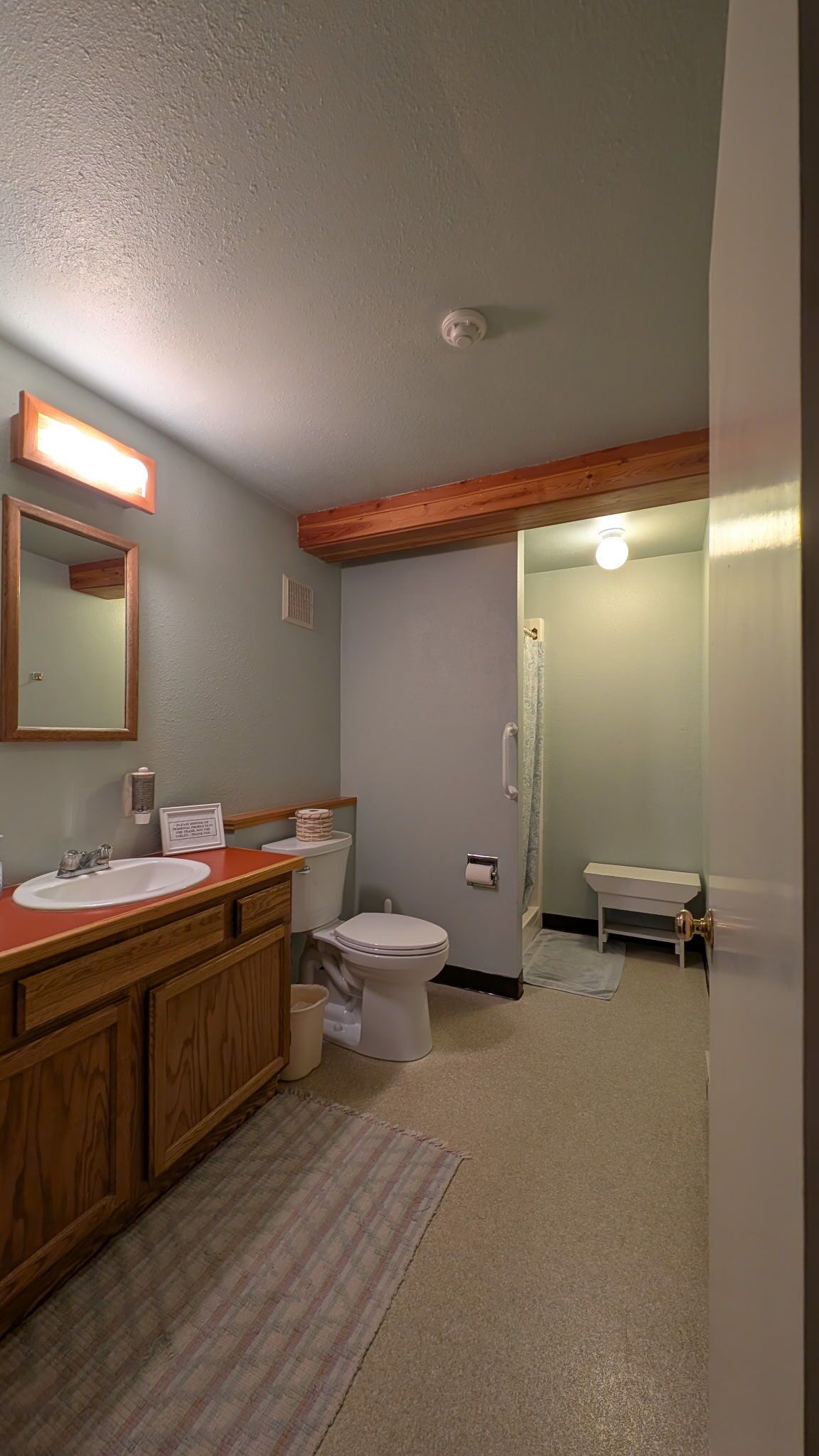 A bathroom with a wooden vanity, a toilet, a shower with a curtain, and a mirror.