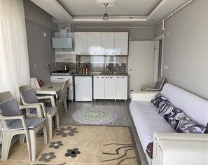 Private kitchen - Kuğu Apart Pansiyon (Sinop)