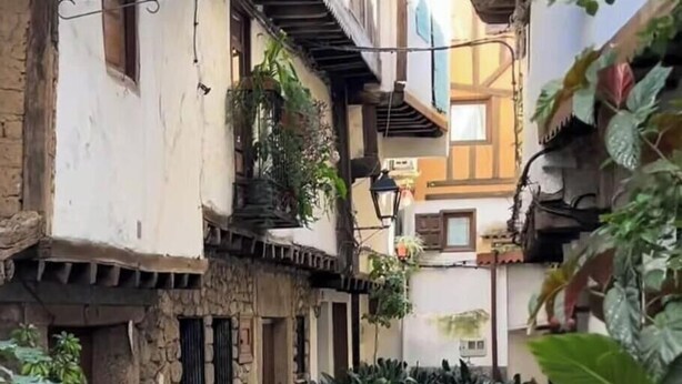 A narrow alleyway with potted plants lining the sides, flanked by buildings with traditional architecture and balconies. - ALMAVERA. Pure Calm House. Colibri 1 Apartment (Madrigal de la Vera)