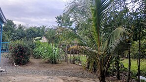 Ein Garten mit einem blauen Gebäude, Palmen und verschiedenen Pflanzen.