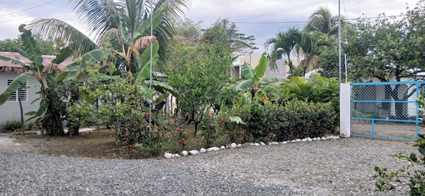 A residential area with a gated entrance, a gravel driveway, and various plants including banana trees and flowering bushes.