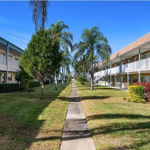A pathway lined with palm trees leading to a building with a covered porch and multiple windows. - All New Luxurious Hip StudioSuite! Resort Pool,Grill,5m2Beaches+Dtwn! Wk/MoSave! (St. Petersburg)