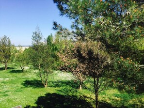 Property grounds - Dream Cosy (Aix-en-Provence)