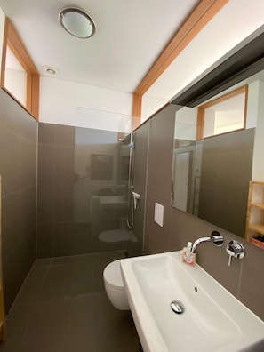A modern bathroom with a glass-enclosed shower, a white sink, and a large mirror.