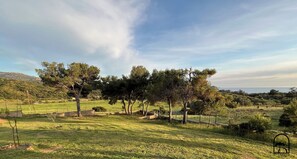 Property grounds - F2 in Capo di Feno - Nature, beach and jacuzzi (Ajaccio)