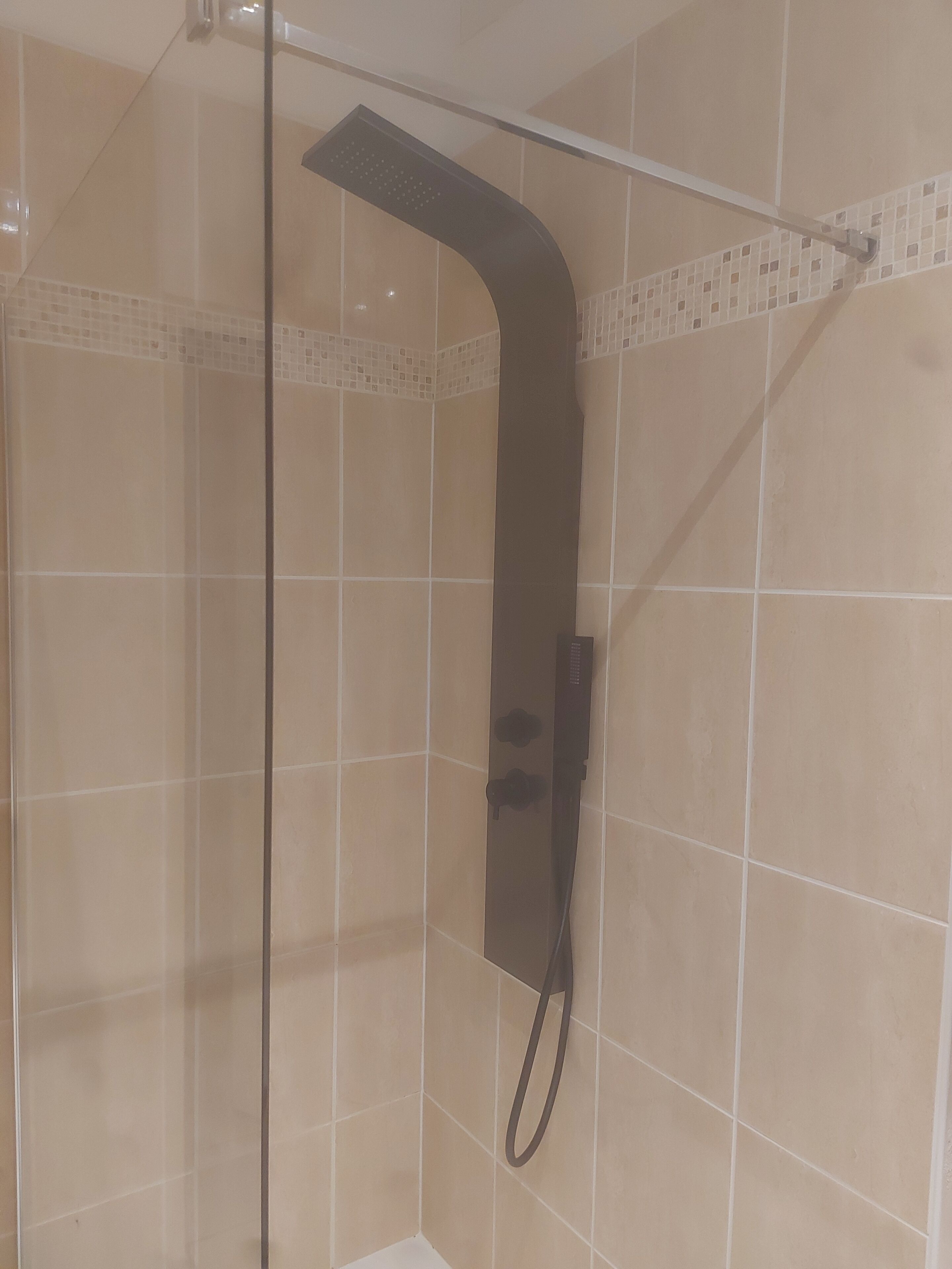 Shower, hair dryer, towels, toilet paper