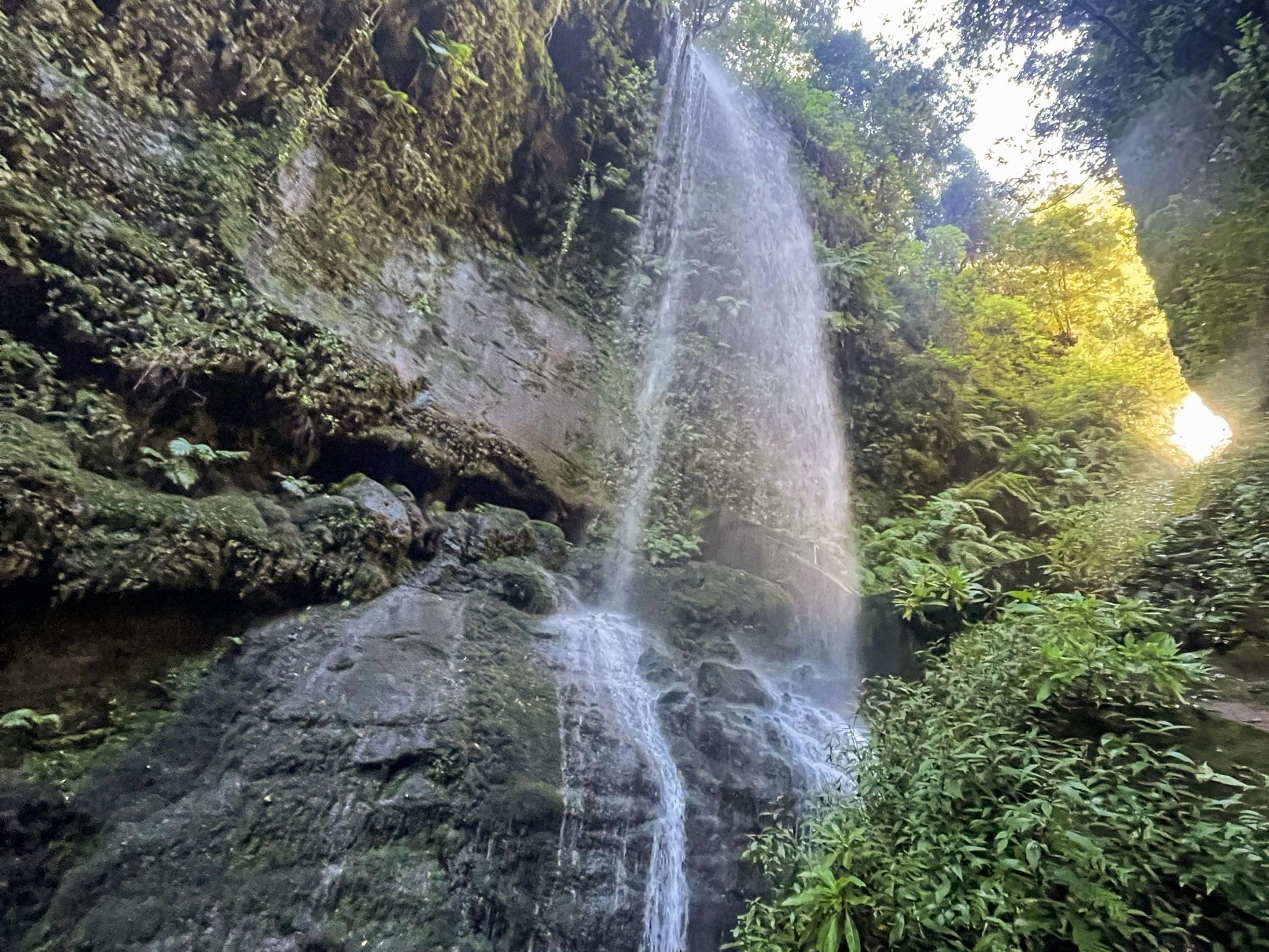 Uma cascata despencando por um penhasco rochoso, rodeada por vegetação exuberante.