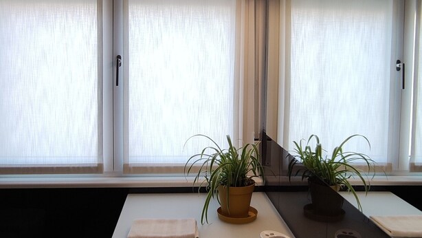 Un bagno moderno con un lavandino capiente, due piante in vaso, un asciugamano e uno specchio.