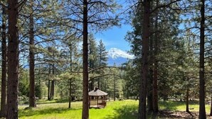 A forest with a gazebo and a mountain in the background. - 30 Night Minimum, Shasta View Chalet (Weed)