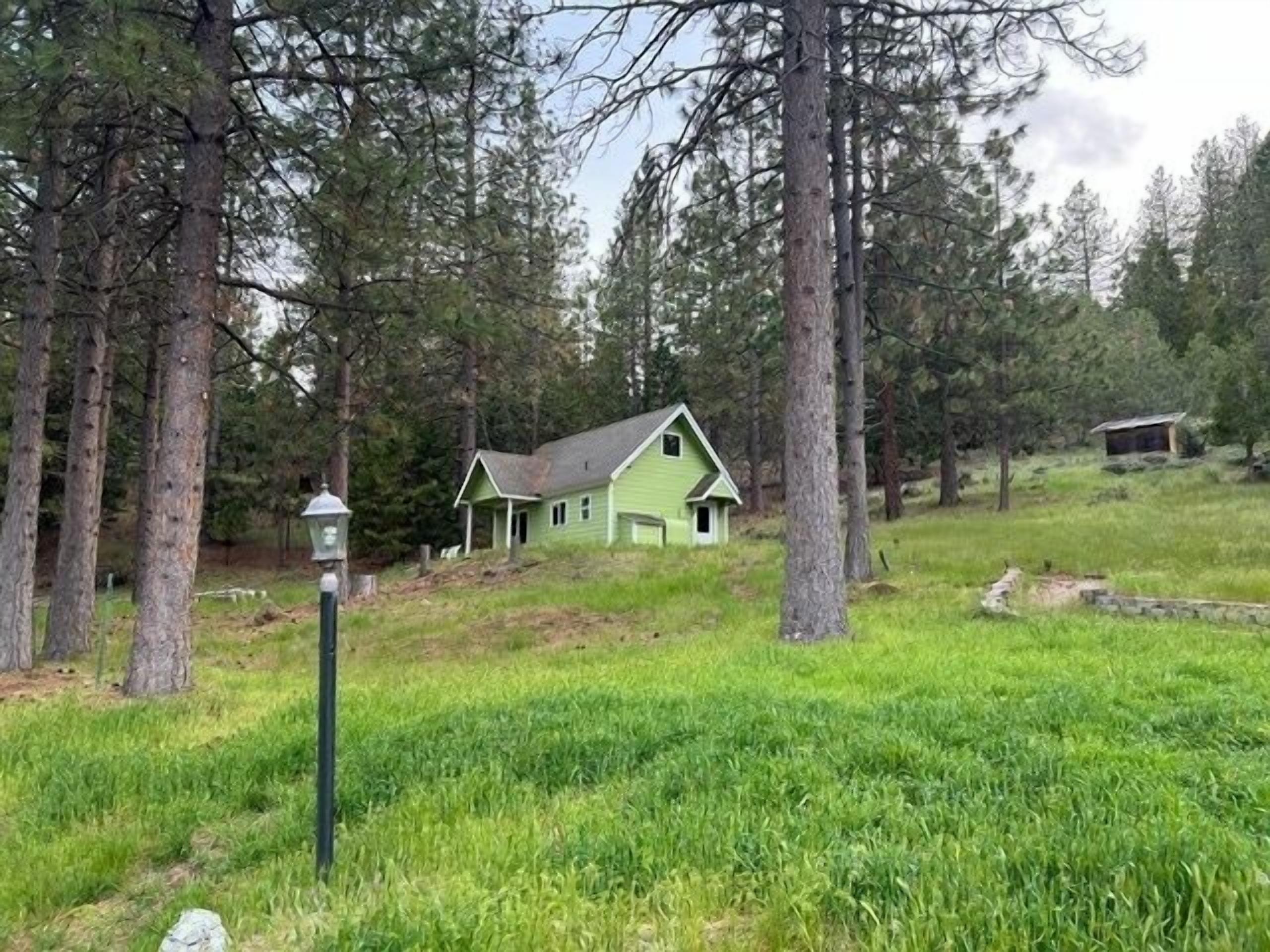 A green house surrounded by tall trees in a grassy area.