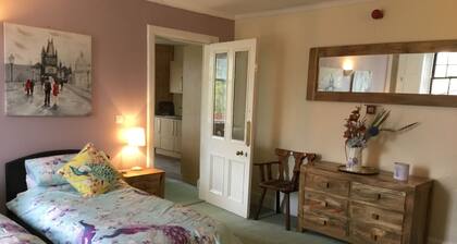 Mountain view, with spectacular vistas