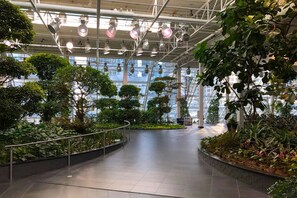 A spacious indoor atrium with a high ceiling, large windows, and a variety of indoor plants.