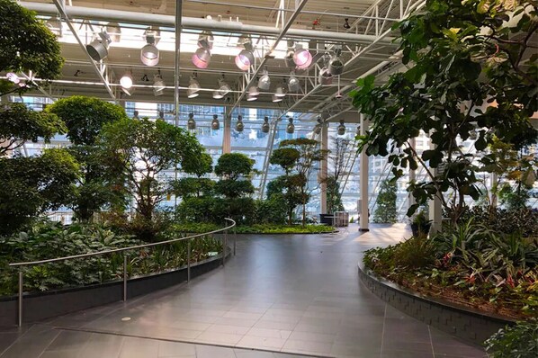 Un vaste atrium intérieur doté d’un haut plafond, de grandes fenêtres et d’une variété de plantes d’intérieur.