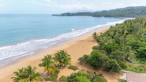 Una playa con palmeras y vista al océano.
