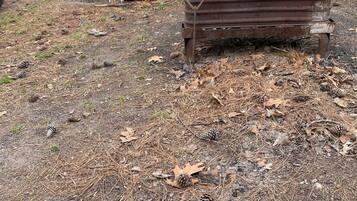 Enceinte de lâhĂ©bergement