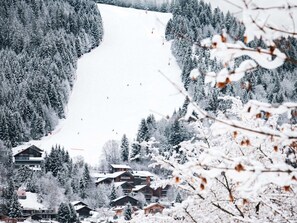 A snow-covered mountain with a ski slope, surrounded by coniferous trees and wooden cabins. - Studio cabin in the center - 4 guests (Les Carroz d'Arâches)